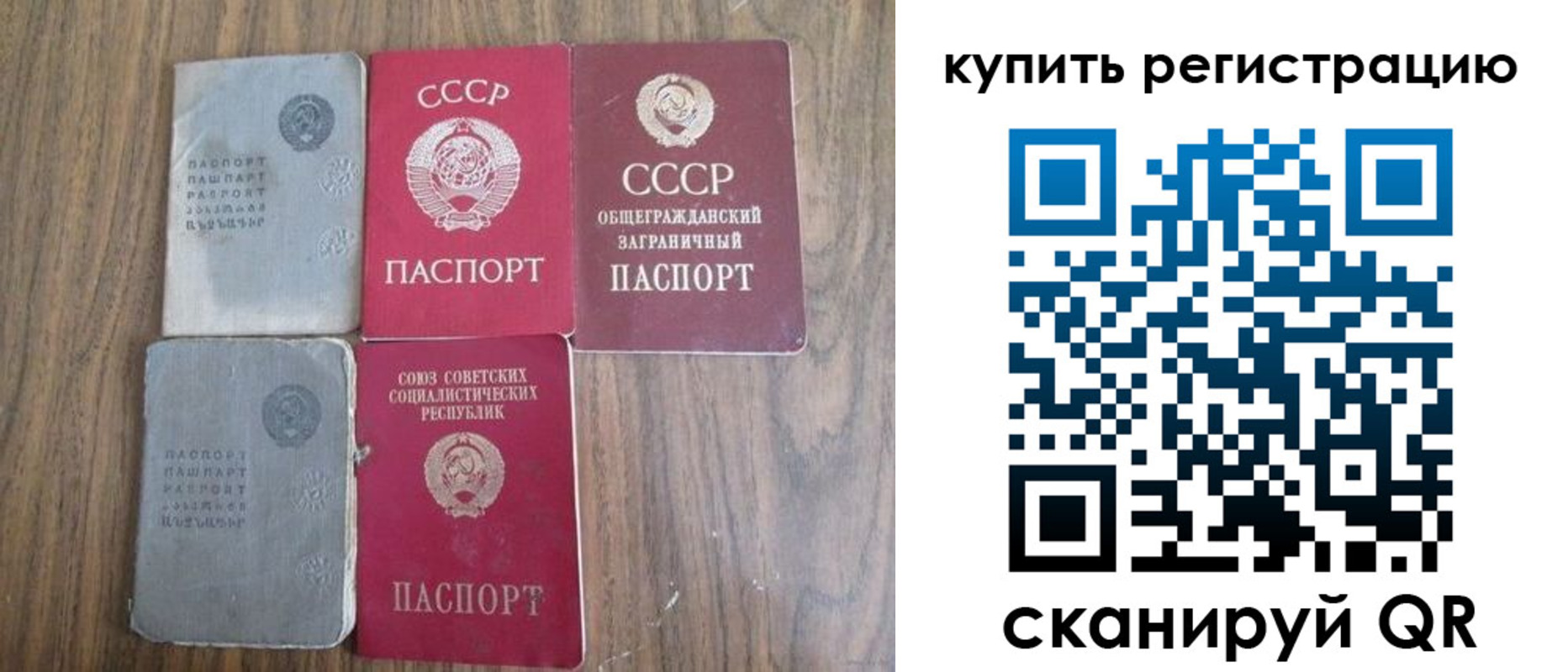 прописка для школы в Ленинградской области